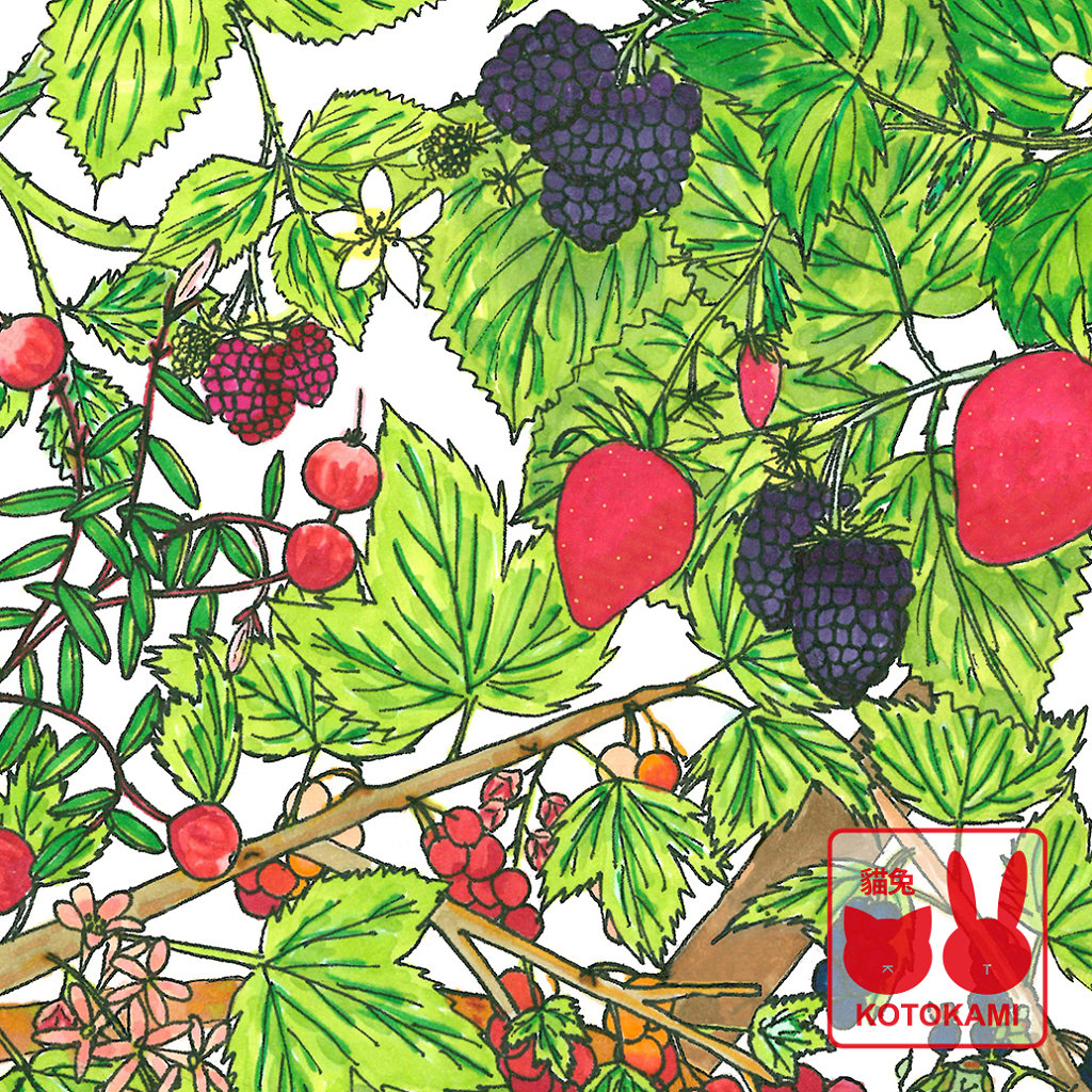 Work in Progress: Study of Berries